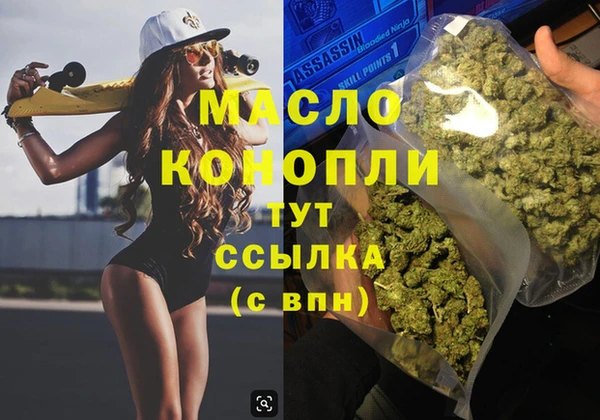 дмт Алексин