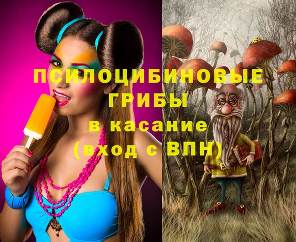 прущая мука Алзамай