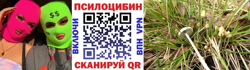 blacksprut   Заозёрный  Галлюциногенные грибы MAGIC MUSHROOMS  наркота 